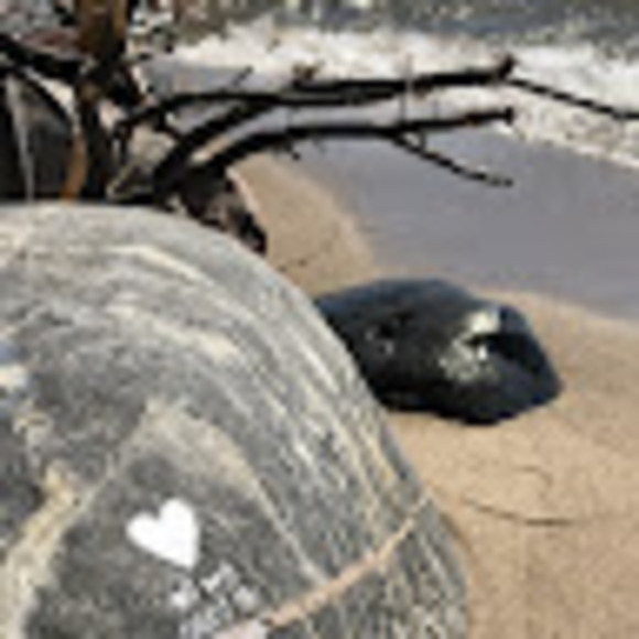 Meet your Posher, Nathan - Picture 1 of 1